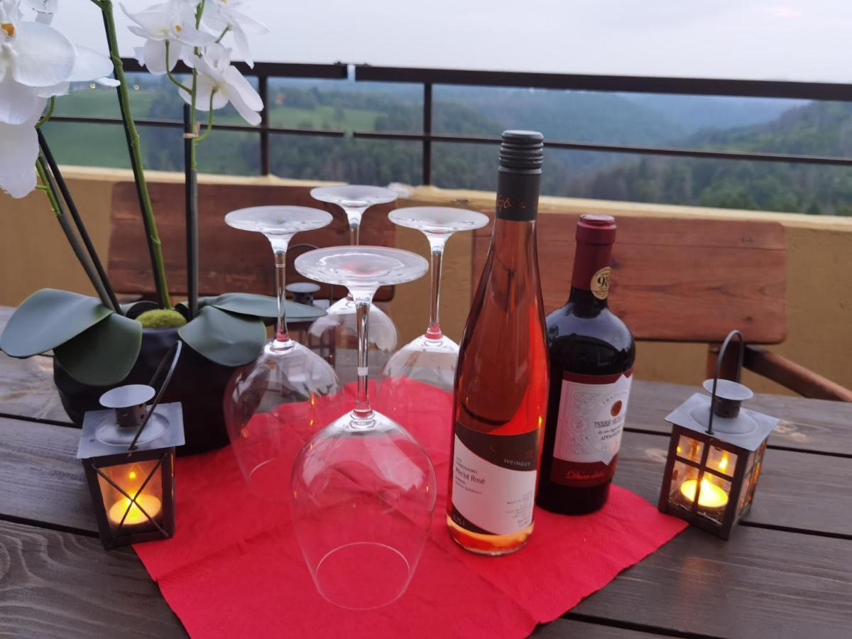 Penthouse Harz-Traum 372 Apartman Hohegeiß Kültér fotó